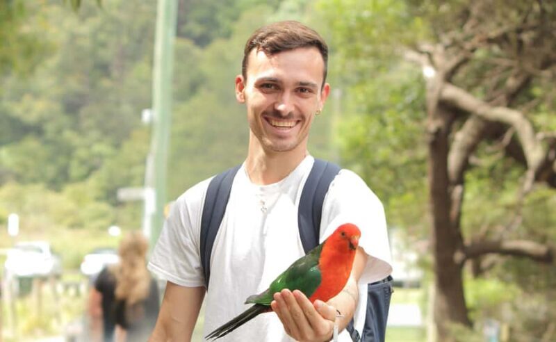 From Melbourne: Great Ocean Road Full-Day Guided Trip - An In-Depth Look at the Experience