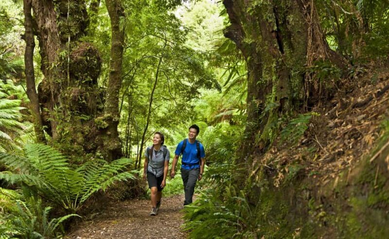 From Melbourne: Great Ocean Road Full-Day Guided Trip - FAQs