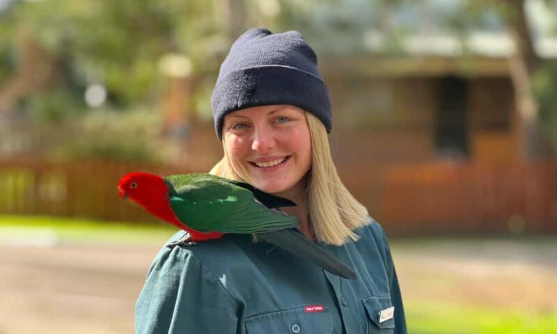 From Melbourne: Great Ocean Road Full-Day Sunset Tour - Practical Tips for Travelers