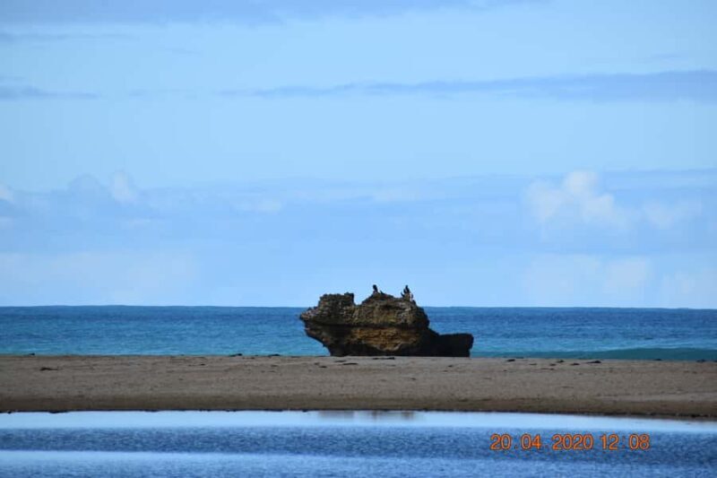 From Melbourne: Great Ocean Road Private Guided Tour by Car - FAQ