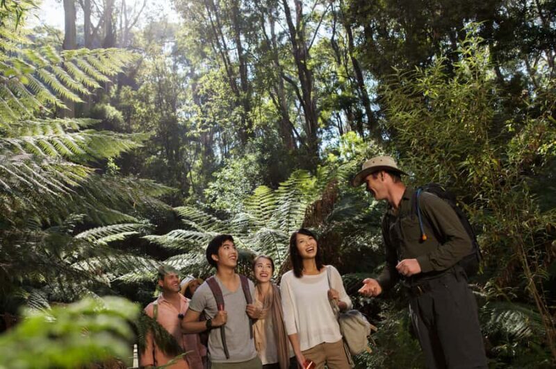From Melbourne: Great Ocean Road & Wildlife Sightseeing Tour - Who Would Enjoy This Tour Most?