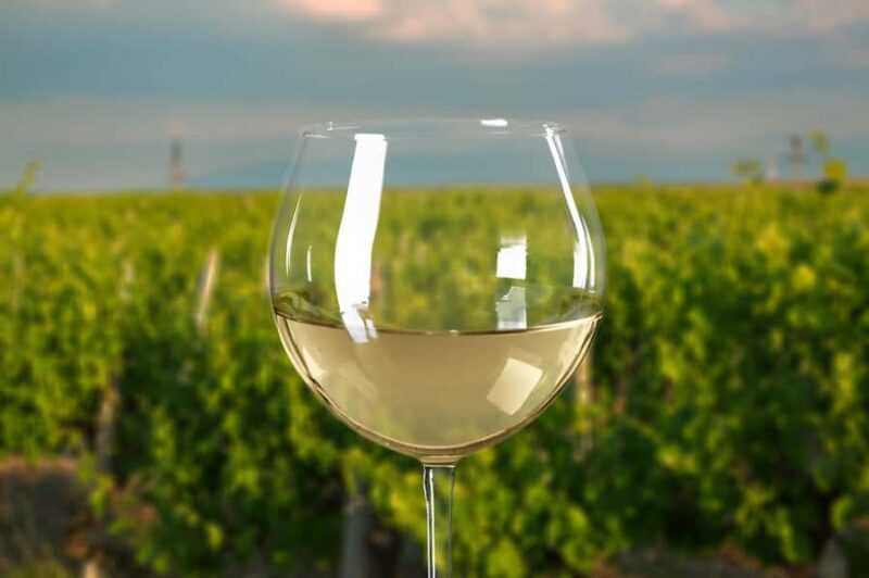 From Melbourne: Mornington Peninsula Private Winery Tour - Key Points