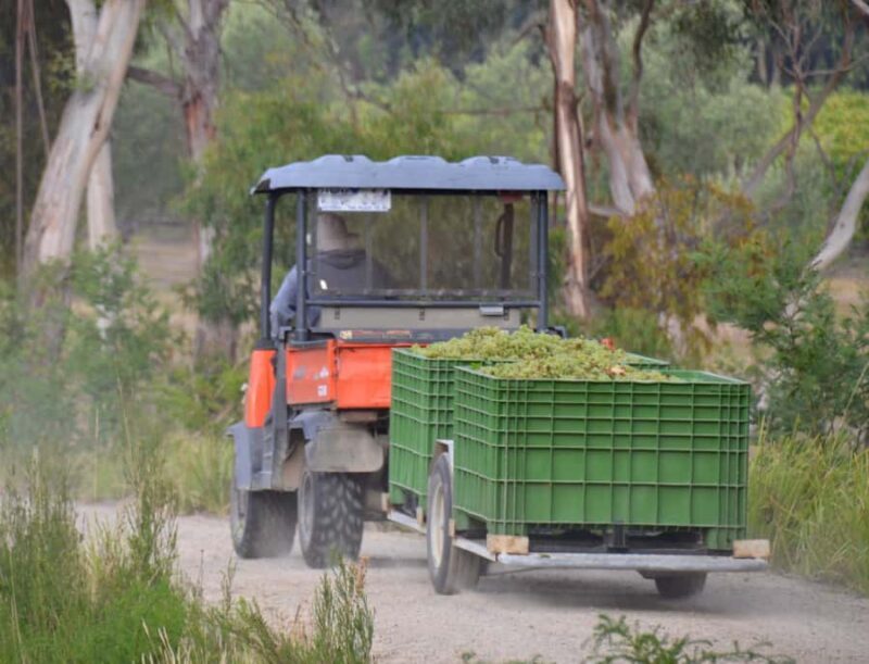 From Melbourne: Mornington Peninsula Private Winery Tour - Practicalities and Value