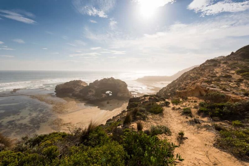 From Melbourne: Mornington Peninsula: Sightseeing Tour - Who Will Love This Tour?