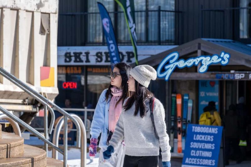 From Melbourne: Mount Buller Day Tour with Resort Entry - Who Will Love This Tour?
