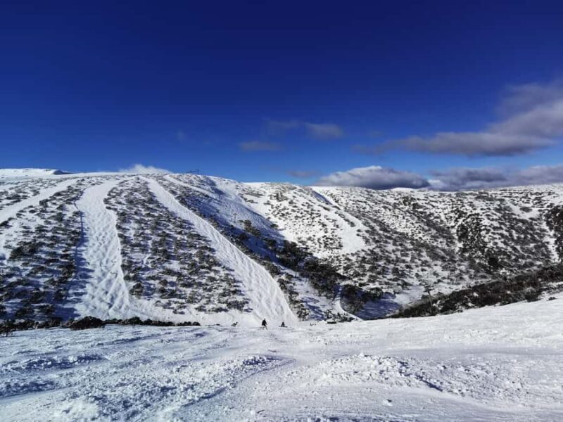 From Melbourne: Mount Buller Guided Day Tour - Who Should Consider This Trip?