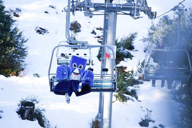 From Melbourne Mt Buller Enchanting Winter Day Tour - A Complete Look at the Experience