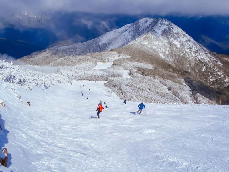 From Melbourne: Mt Buller Scenic Snow Getaway Day Tour - How This Tour Stands Out