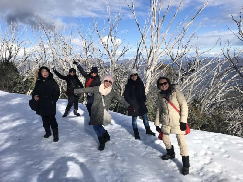 From Melbourne: Mt Buller Snow Day Small Group Boutique Tour - An Overview of the Mt Buller Small Group Tour