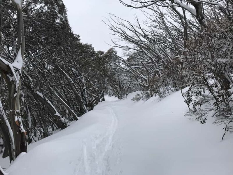 From Melbourne: Mt Buller Snow Day Small Group Boutique Tour - End of the Day: Return to Melbourne