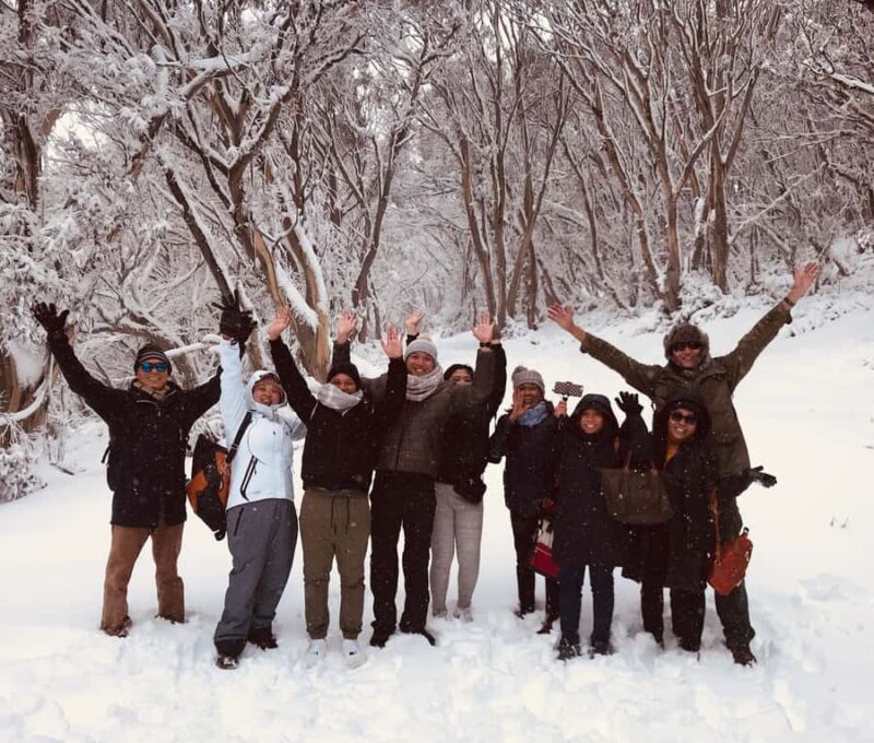 From Melbourne: Mt Buller Snow Day Small Group Boutique Tour - Why This Tour Is a Great Choice