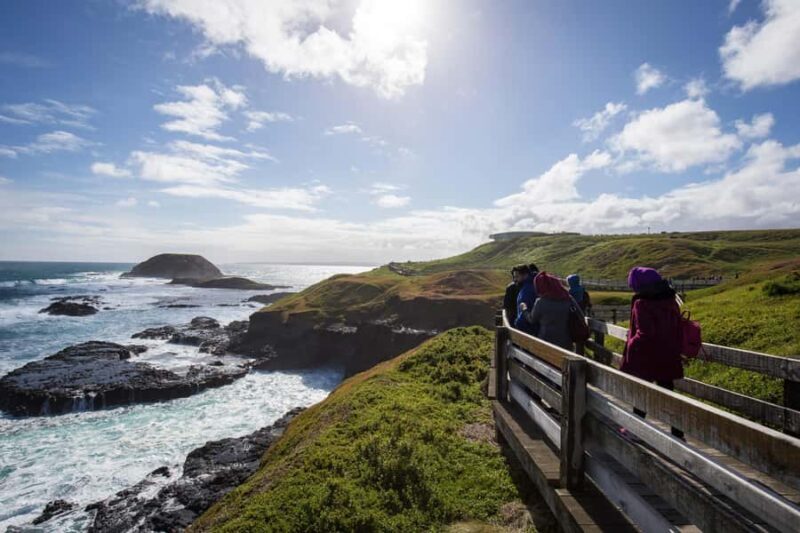 From Melbourne: Penguin Parade, Koalas & Kangaroos - Frequently Asked Questions