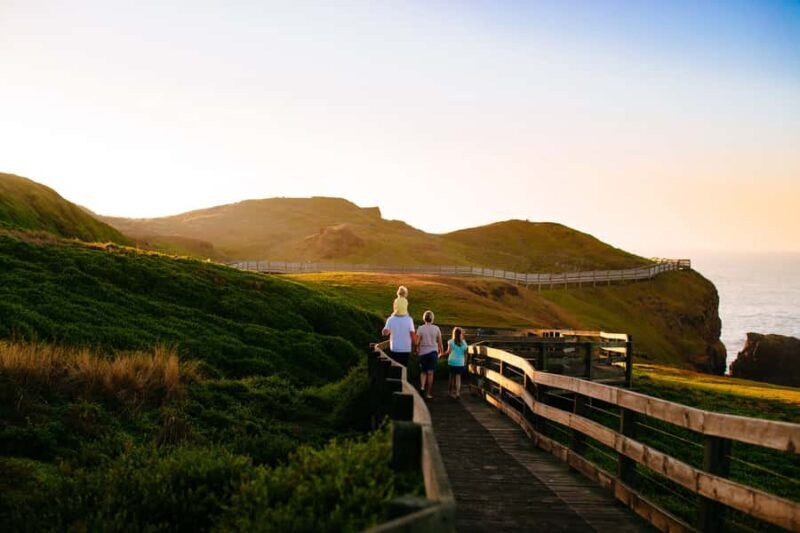 From Melbourne: Penguins and Wildlife Nature Day Tour - The Real Value of the Tour