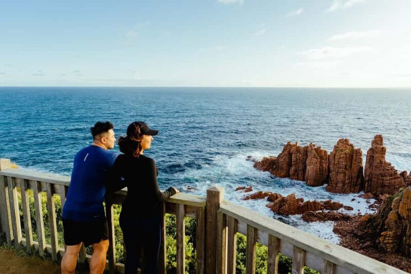 From Melbourne: Phillip Is Penguin Parade & Koala Reserve - In The Sum Up