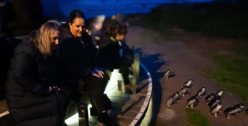 From Melbourne: Phillip Island Penguin & Nature Day Tour - Final Thoughts