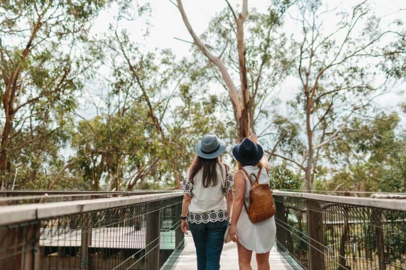 From Melbourne: Phillip Island Penguin Parade & Koalas Tour - The Penguin Parade: Nature’s Most Magical Moment