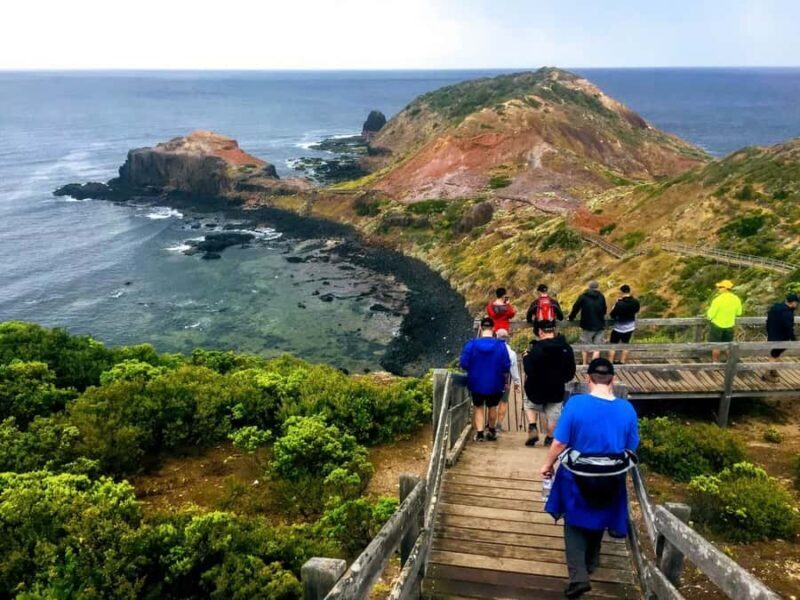 From Melbourne: Phillip Island Penguin Parade Private Tour - The Bottom Line