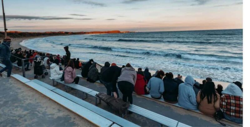 From Melbourne: Phillip Island Penguin Parade Private Tour - An In-Depth Look at the Journey