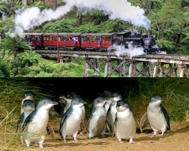 From Melbourne: Puffing Billy and Penguin Parade Combo Tour - Who Will Enjoy This Tour?