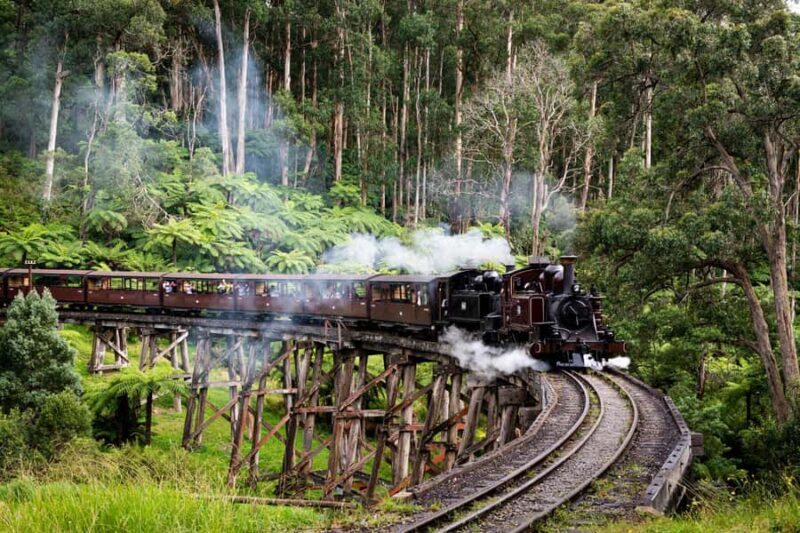 From Melbourne: Puffing Billy Train & Penguin Wildlife Tour - The Practicalities: Transportation, Duration, and Cost