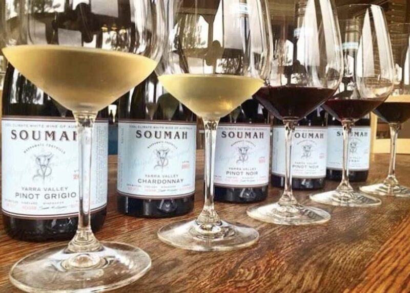 From Melbourne: Redwoods Forest & Yarra Valley Wine Tour - Introduction: A Curated Day in Nature and Vineyards