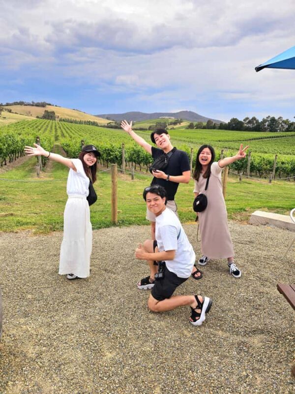 From Melbourne: Redwoods Forest & Yarra Valley Wine Tour - The Transport and Group Experience