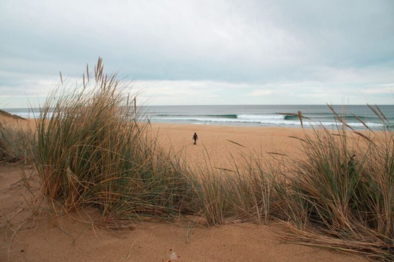 From Melbourne: Small Group Great Ocean Road Tour - Final Thoughts