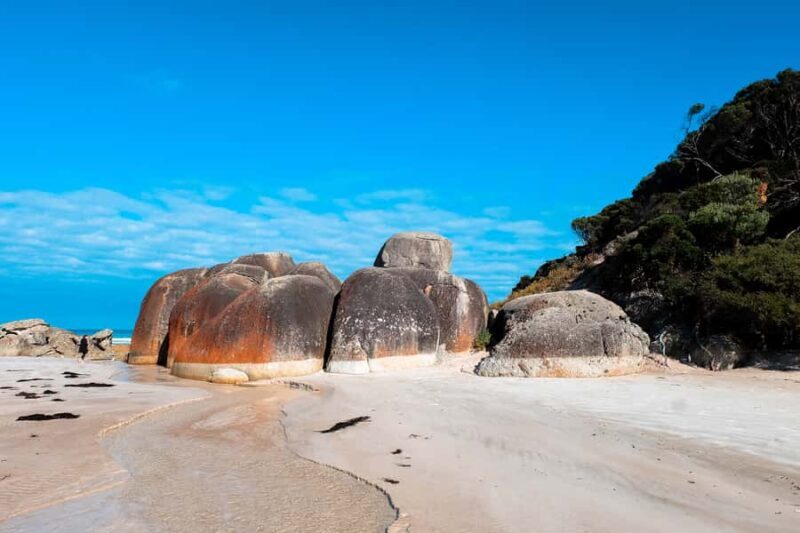 From Melbourne: Wilsons Promontory Small Group Day Tour - The Sum Up: Who Will Love This Tour?