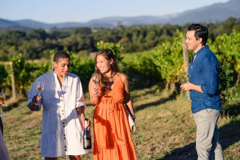 From Melbourne: Yarra Valley Chandon Cheese & Kangaroos Tour - Key Points