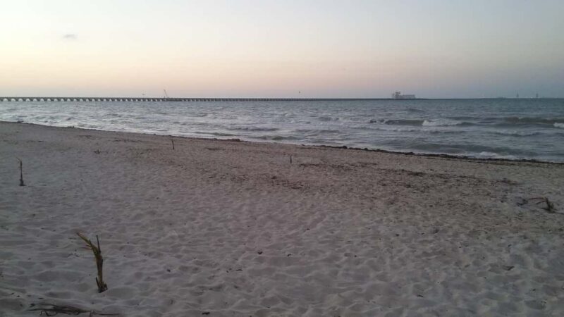 From Mérida: Mayan Dzibilchaltún & Progreso Beach Tour - An Authentic Day of Yucatán: What to Expect