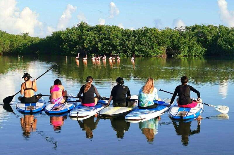 From Mérida: Paddel board, Sunshine and beach - Authentic Moments and Authentic Scenery
