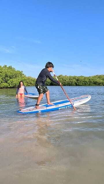 From Mérida: Paddel board, Sunshine and beach - Who Will Love This Tour?