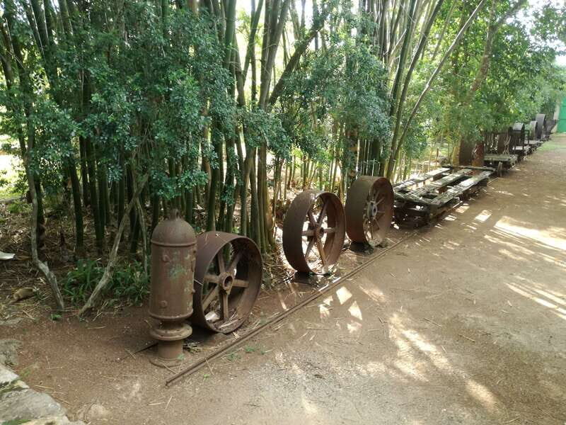 From Merida: Uxmal, Hacienda Yaxcopoil and Cenote with Lunch - What Travelers Are Saying
