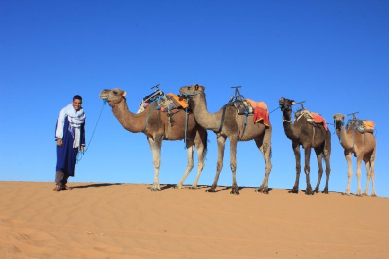 From Merzouga: Sunset Camel Ride & Sandboarding - Who Is This Tour Best For?