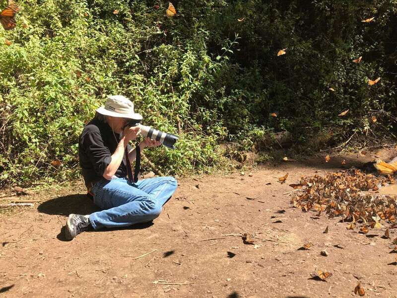From Mexico City: 7-Day Monarch Butterfly Tour - An In-Depth Look at the 7-Day Monarch Butterfly Tour