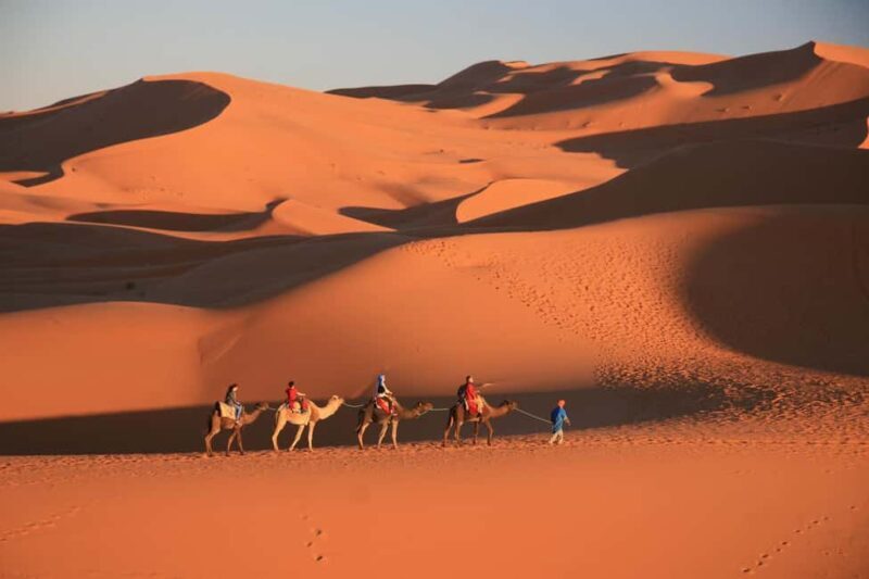 FROM M'HAMID: Overnight Desert Tour to Erg Chigaga 4x4 Camel - Key Points