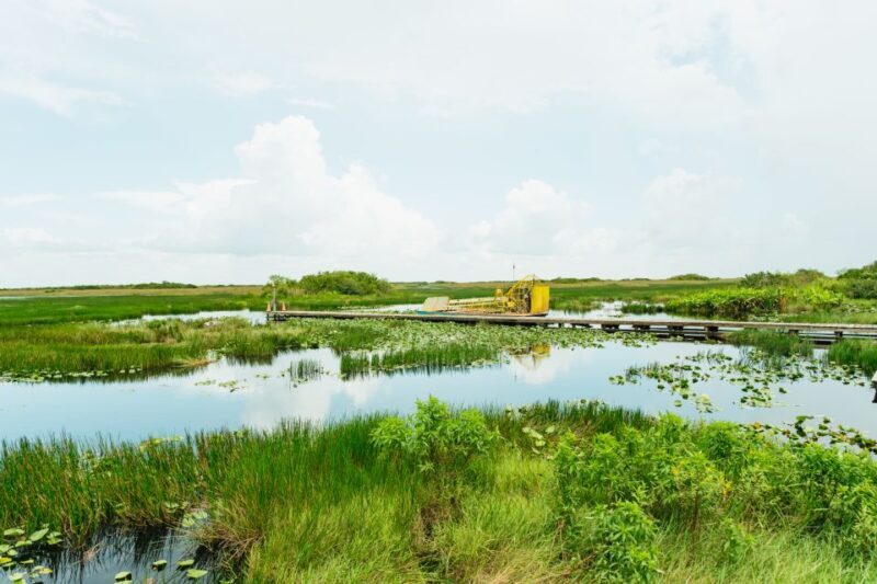 From Miami: Everglades Airboat Ride and Nature Walk - A Closer Look at the Tour Experience