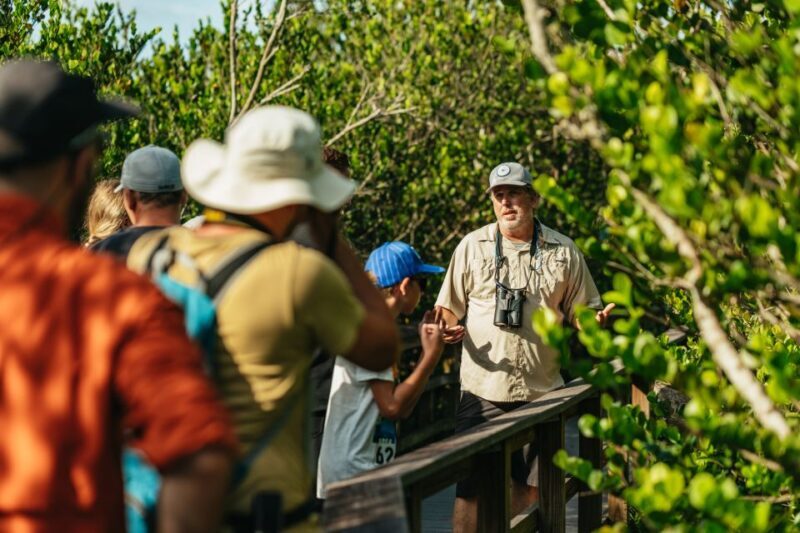 From Miami: Everglades Airboat Ride and Nature Walk - Final Thoughts