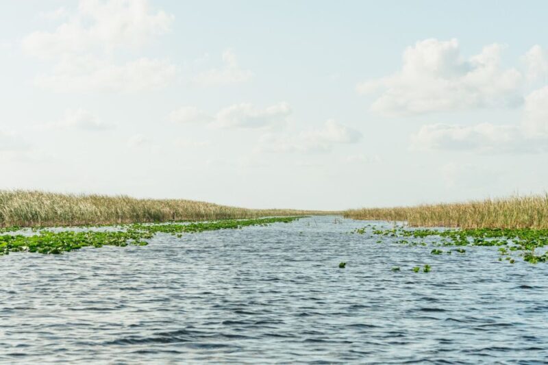 From Miami: Everglades Airboat, Wildlife Show & Bus Transfer - Final Thoughts