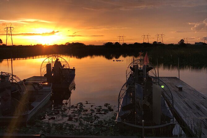 From Miami: Everglades at Night with Airboat and Alligators Tour - Is It Worth the Price?