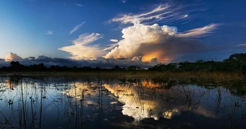 From Miami: Everglades at Night with Guided Airboat Tour - Key Points
