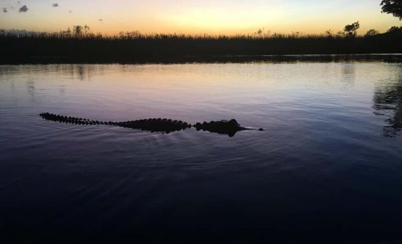 From Miami: Everglades at Night with Guided Airboat Tour - FAQ