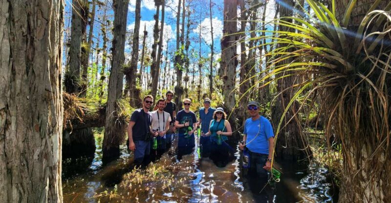 From Miami: Everglades Tour w/ Wet Walk, Boat Trips, & Lunch - The Sum Up: Is It Worth It?