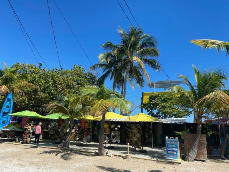 From Miami: Key Largo & Islamorada Private Open-Top Bus Tour - Analyzing the Value and Who It’s For