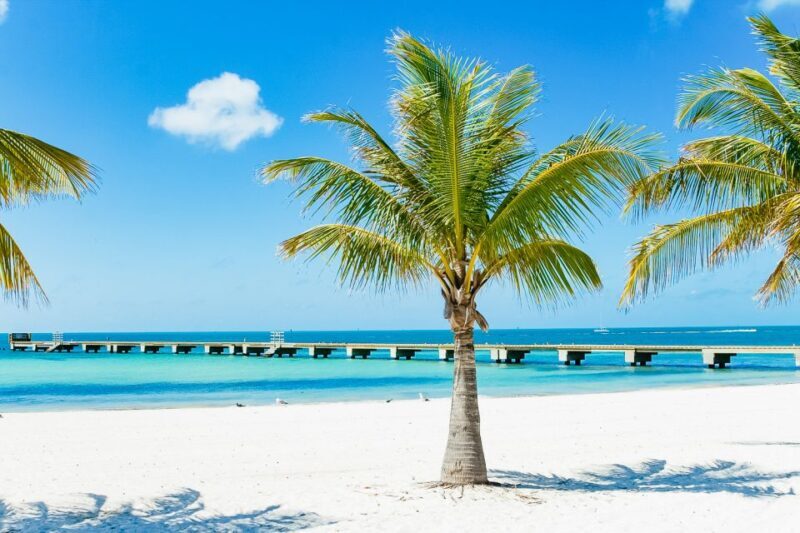 From Miami: Key West Day Trip - What to Expect from the Key West Day Trip