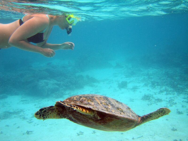From Miami: Key West Day Trip - Who Would Love This Tour?