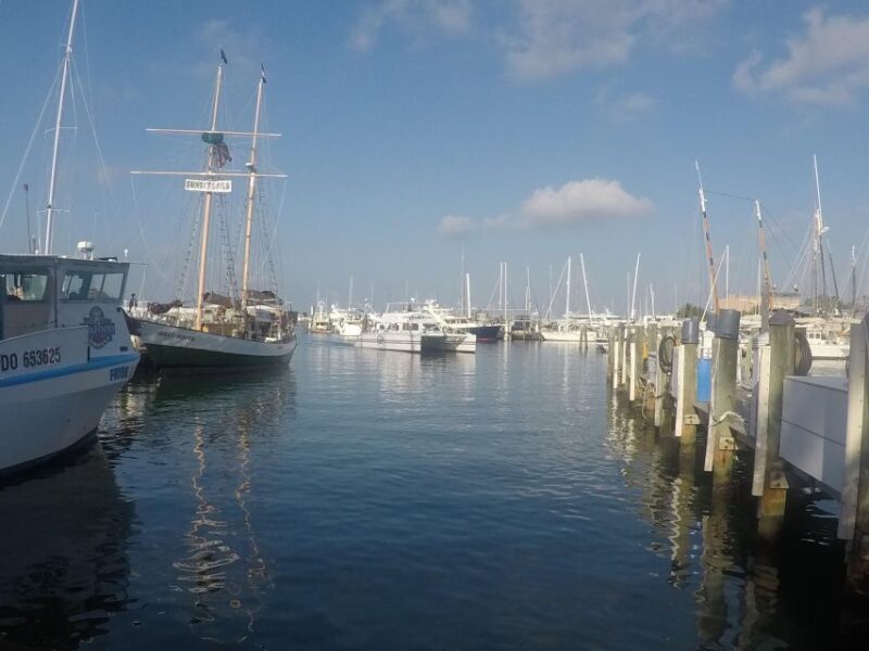 From Miami: Key West Day Trip with Pickup at Selected Hotels - Transportation and Comfort