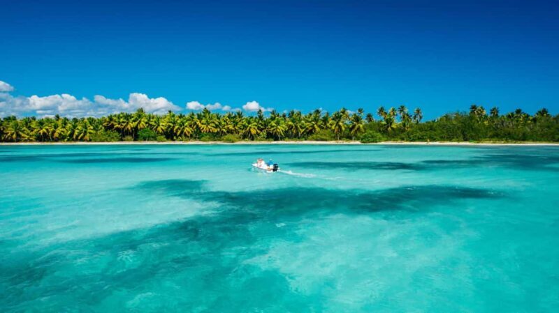 From miches: Isla Catalina Snorkeling Tour with Lunch - Introduction