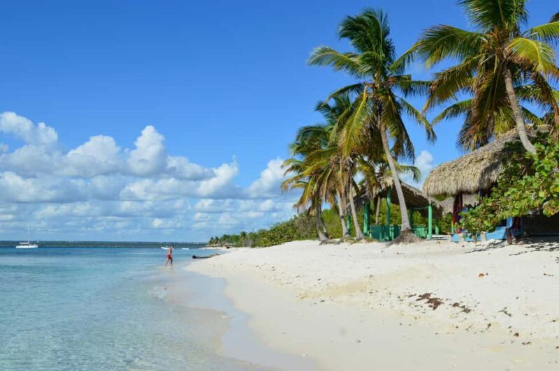 From miches: Isla Catalina Snorkeling Tour with Lunch - Key Points