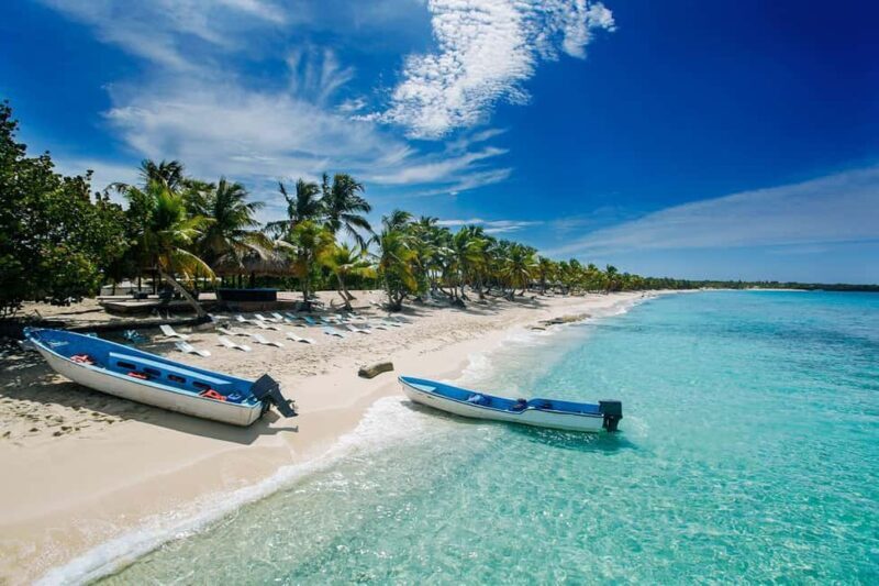 From miches: Isla Catalina Snorkeling Tour with Lunch - Why This Tour Works for Travelers